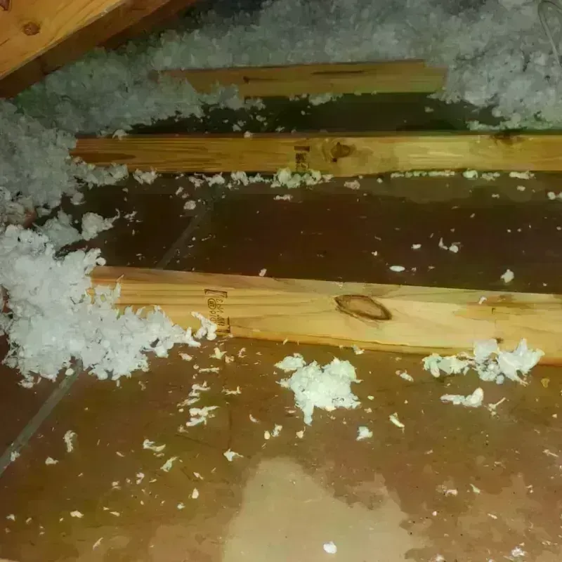 Attic Water Damage in Klamath Falls, OR