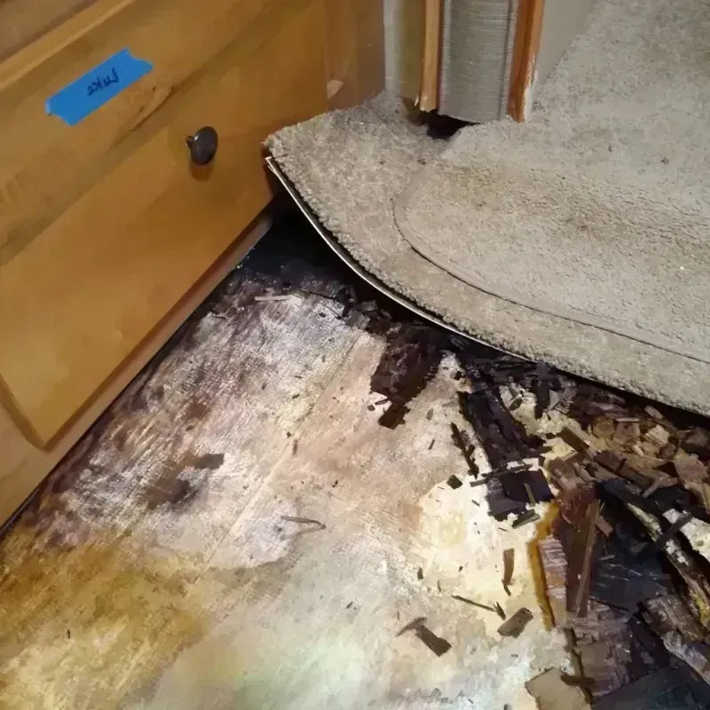 Wood Floor Water Damage in Klamath Falls, OR